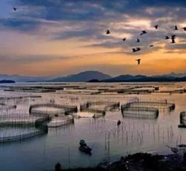 遂宁伴游中国网景点丰富(旅游网介绍)