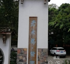 遂宁关于伴游中国伴游你们伴得是什么游的信息