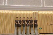 遂宁杭州模特礼节兼职群(杭州兼职商务模特经纪人微信)