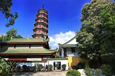 遂宁广州自由行(广州 自由行)