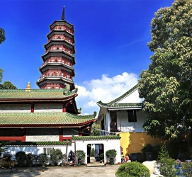 遂宁广州自由行(广州 自由行)