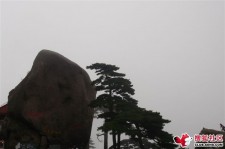 遂宁上海伴游私家陪游雇用女模(上海伴游私家陪游雇用女模特)