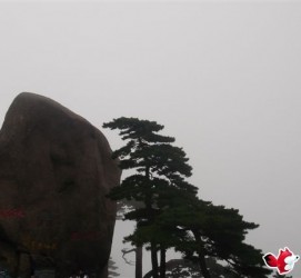 遂宁上海伴游私家陪游雇用女模(上海伴游私家陪游雇用女模特)