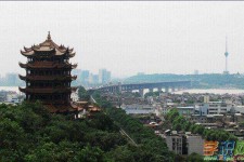 遂宁武汉游玩攻略(武汉游玩攻略ppt)