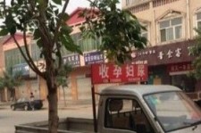 遂宁上海伴游 用伴游造句大全(5