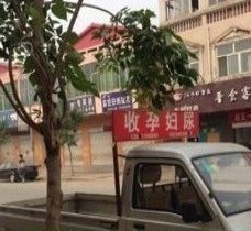 遂宁上海伴游 用伴游造句大全(5