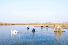 遂宁南昌附近伴游小妹兼职(1534939978姐的微信德惠市)
