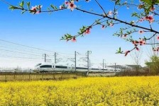 遂宁高铁游(高铁游戏下载手机版)