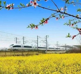 遂宁高铁游(高铁游戏下载手机版)