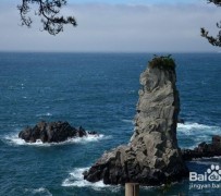 遂宁旅游全攻略(上海旅游全攻略)