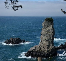 遂宁旅游全攻略(上海旅游全攻略)