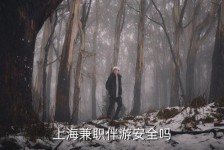 遂宁上海私人伴游 上海伴游，上海兼职伴游安全吗