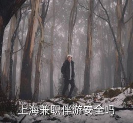 遂宁上海私人伴游 上海伴游，上海兼职伴游安全吗