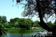 遂宁西湖旅游攻略(上海到杭州西湖旅游攻略)