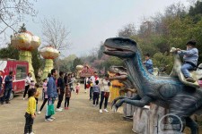 遂宁中国伴游带你打卡网红南山竹海(南山竹海网上预约)