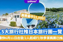 遂宁旅游价格(旅游价格机制)