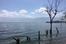 遂宁洱海旅游攻略(洱海旅游攻略自由行)