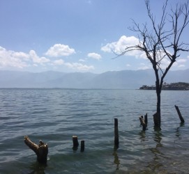 遂宁洱海旅游攻略(洱海旅游攻略自由行)