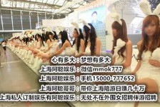 遂宁雇用旅游男伴游(北京商务酒店雇用伴游)