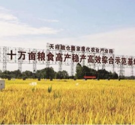 遂宁关于成都商务伴游外围雇用的信息