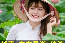 遂宁日本关东伴游中国(日本关西旅行)