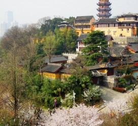 遂宁南京周边游(南京周边游景点大全 自驾车旅游)