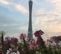 遂宁广州旅游攻略(杭州到广州旅游攻略)