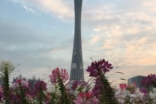 遂宁广州旅游攻略(杭州到广州旅游攻略)