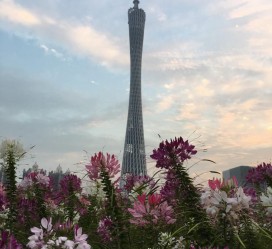 遂宁广州旅游攻略(杭州到广州旅游攻略)