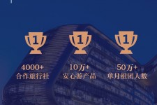 遂宁上海私人伴游 ​ “小而美”的新时代：2020年国内新跟团消费报告