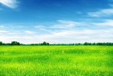 遂宁上海伴游 上海模特伴游微信号的交友宣言