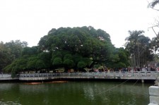 遂宁福州旅游攻略(福州旅游攻略二日游)