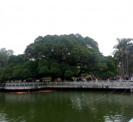 遂宁福州旅游攻略(福州旅游攻略二日游)