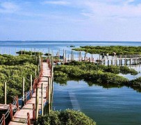 遂宁旅游哪里好玩(云南旅游哪里好玩)