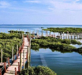 遂宁旅游哪里好玩(云南旅游哪里好玩)