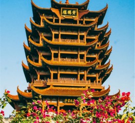 遂宁武汉游玩攻略(武汉游玩攻略路线)