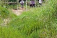 遂宁苍溪学生做伴游兼职(苍溪学生做伴游兼职怎么样)