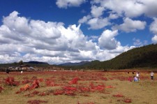 遂宁旅游去处(暑期最好的旅游去处)