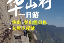 遂宁一日游(一日游需要准备些什么东西?)