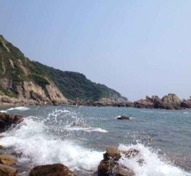遂宁深圳旅游攻略(广州深圳旅游攻略)