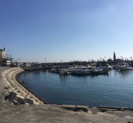 遂宁大连旅游攻略(大连旅游攻略自由行)