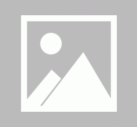 遂宁私人伴游 黄金周里动“黄”经 天津又现“私人陪游”逆流